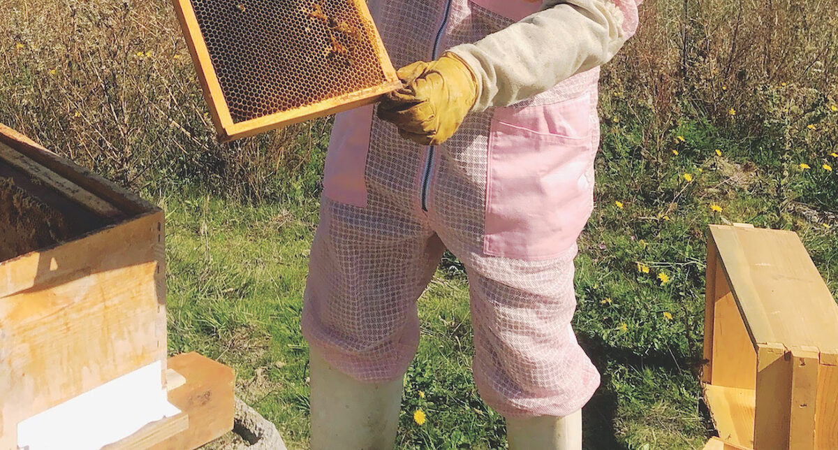 Certified Naturally Grown Honey & Mushrooms – Mother Earth News - Vimarsana News